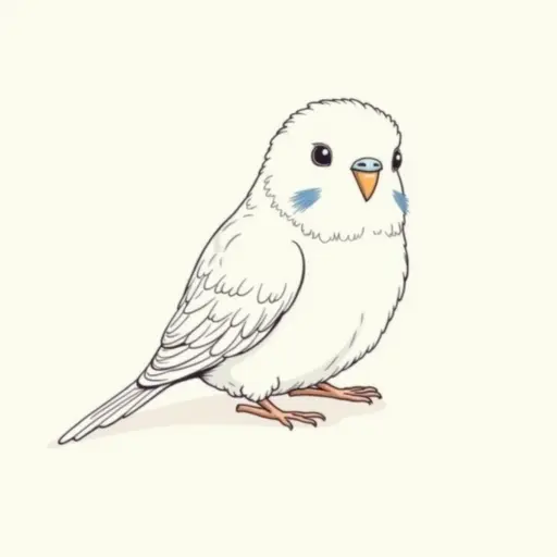 clean hand-drawn outlines of a budgerigar